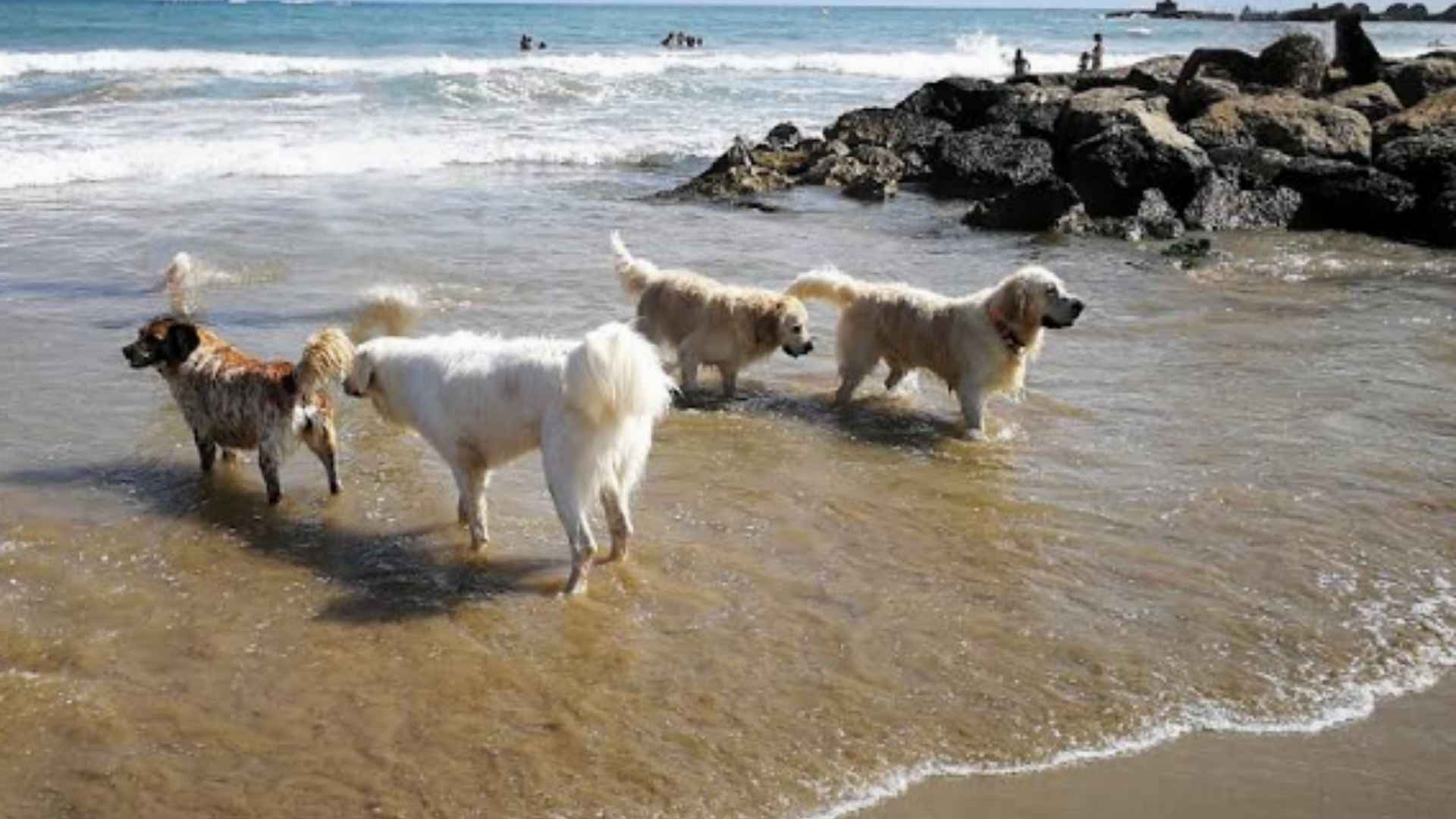 Playa Les Salines (Cubelles – Barcelona)
